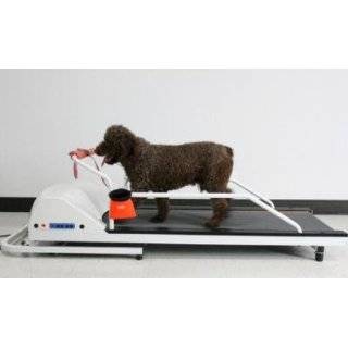 GoPet PR700 Dog Treadmill   For Dogs Up To 45 Pounds