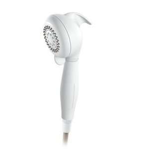    Palm Handheld Shower   DN8010 Moen HomeCare