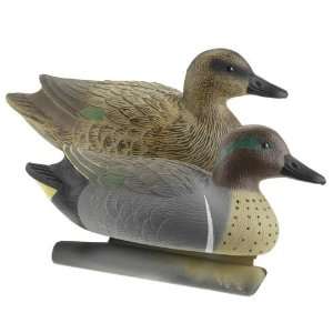 Academy Game Winner Hunting Gear Green winged Teal Decoys 12 Pack 
