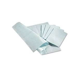 Pro Towels, Two Ply, 13x18, 500/BX, Blue   Sold as 1 BX   Standard 