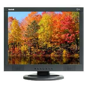   Inch Professional Security and A/V LCD Monitor (Black)