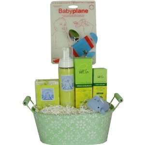   Practical Baby Gift Basket with Mosquito Repellent, Baby Soap and More