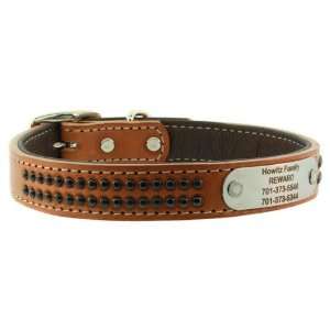   Ply Leather Dog Collar with Personalized Name Plate