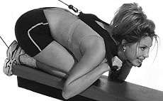 Bayou Fitness Total Trainer Pilates Reformer Pro Home Gym System AB 