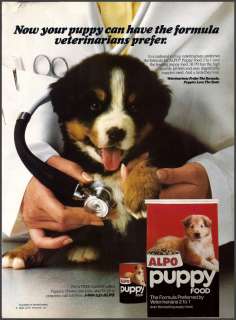 1986 BERNESE MOUNTAIN DOG Puppy Photo~Alpo Dog Food AD  