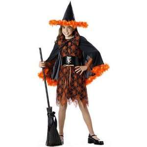   Feather Witch Halloween Costume (Size Large 10 12) Toys & Games