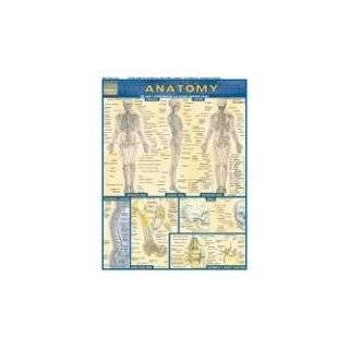 Anatomy (Quickstudy Reference Guides   Academic) Pamphlet by Inc 