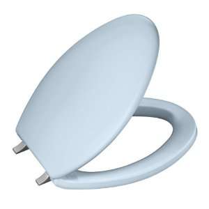   Bancroft Elongated Toilet Seat with Brushed Chrome Hinges, Skylight