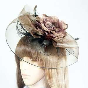   veils,royal hats,birdcage veils,tulle head,netting veils,chocolate