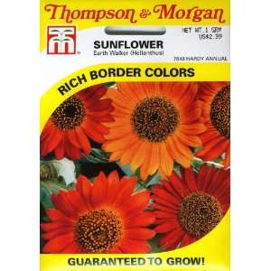   Morgan 7648 Sunflower Earth Walker Seed Packet Patio, Lawn & Garden